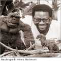 Afro-American Indie Yancey Hendrieth Tops Tinsel Town with his 'King Kong' Spoof