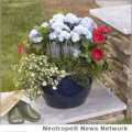 With Mother's Day approaching Sunday, May 13, now is a great time to create a beautiful blooming gift for mom